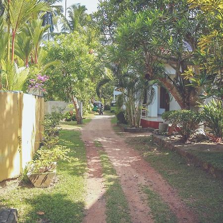 Hikka Surf Hostel Hikkaduwa Exterior photo