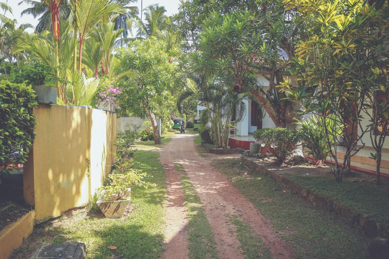 Hikka Surf Hostel Hikkaduwa Exterior photo